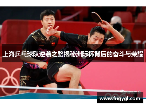 上海乒乓球队逆袭之路揭秘洲际杯背后的奋斗与荣耀