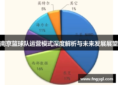 南京篮球队运营模式深度解析与未来发展展望